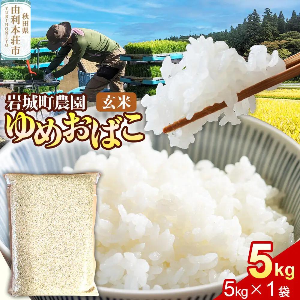 【玄米】ゆめおばこ 秋田県産 岩城町農園のゆめおばこ 5kg（5kg×1袋）令和7年産 真空パック