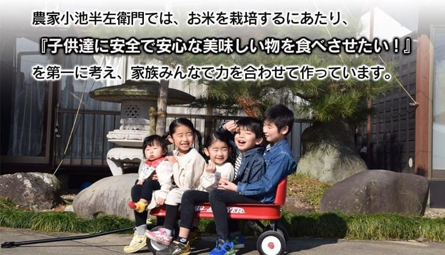 数量限定 【令和7年産】 山形県庄内産 小池半左衛門のお米 はえぬき 玄米 10kg (5kg×2袋)