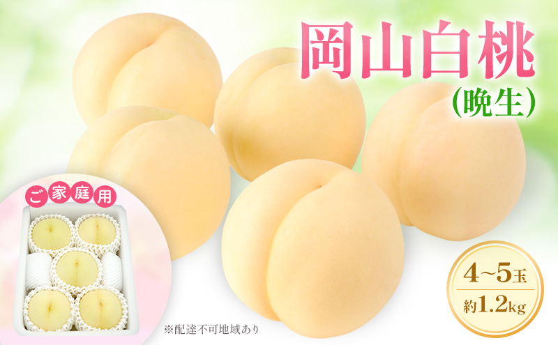 もも 2025年 先行予約 【ご家庭用】 岡山白桃 エース (晩生) 4～5玉 約1.2kg  (8月中旬～8月下旬出荷予定)
