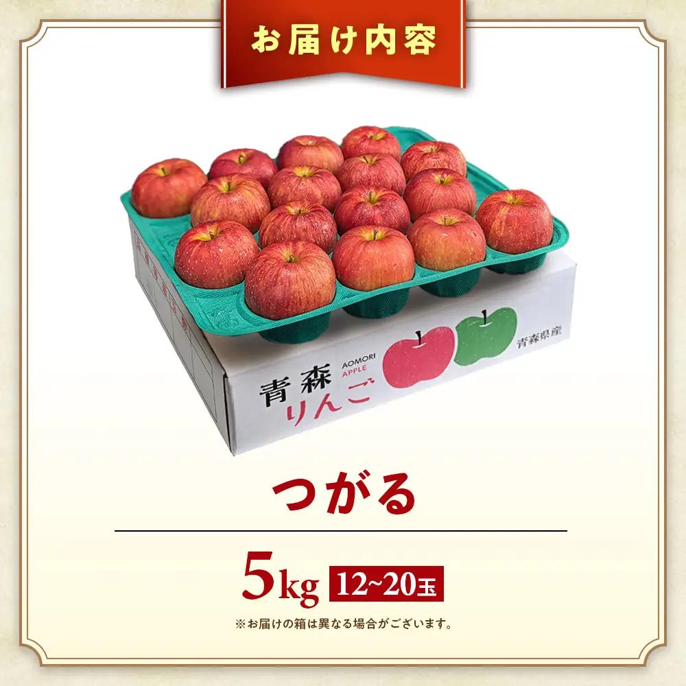 青森県産りんご つがる 約5kg りんご 9月～