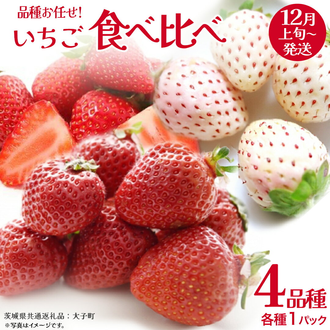 【ふるさと納税】いちごの 食べ比べ 4品種×1パック【2025年12月上旬発送開始】(茨城県共通返礼品：大子町) いちご 苺 果物 フルーツ 果実