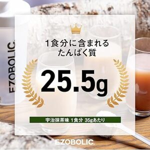 【定期便3回】宇治抹茶風味 EZOBOLIC プロテイン 3kg プロテイン LG