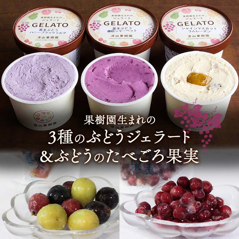 【ふるさと納税】 果樹園生まれの 「3種のぶどうジェラート ＆ ぶどうのたべごろ果実 (冷凍フルーツ)」セット 『漆山果樹園』 シャインマスカット ハニーブラック 藤稔 ぶどうミックス デラウェア フルーツ 果物 冷凍 デザート 山形県 南陽市 [2353]