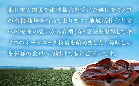 名取市産 きくらげ の 乾燥きく蔵 （黒） 14g×5袋セット