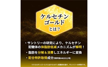 お茶 定期便 2ヶ月 特茶 500ml 24本 お茶