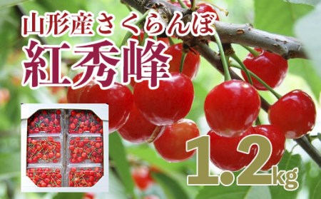 山形のさくらんぼ 紅秀峰 1.2kg(200g×6パック) Lサイズ以上 【令和7年産先行予約】FS24-555くだもの 果物 フルーツ 山形 山形県 山形市 2025年産