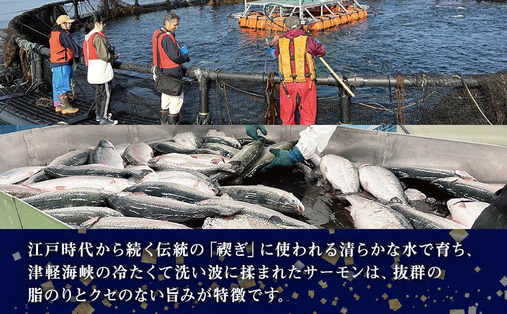 【三印　三浦水産株式会社】木古内町産サーモンフィーレ　半身 650ｇ～800ｇサイズ