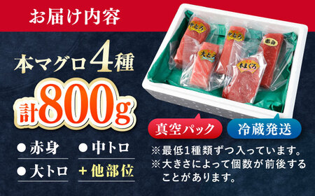 対馬産 生 本マグロ 800g （赤身、中トロ、大トロ） [WAH026] 中トロ 大トロ まぐろ マグロ 鮪