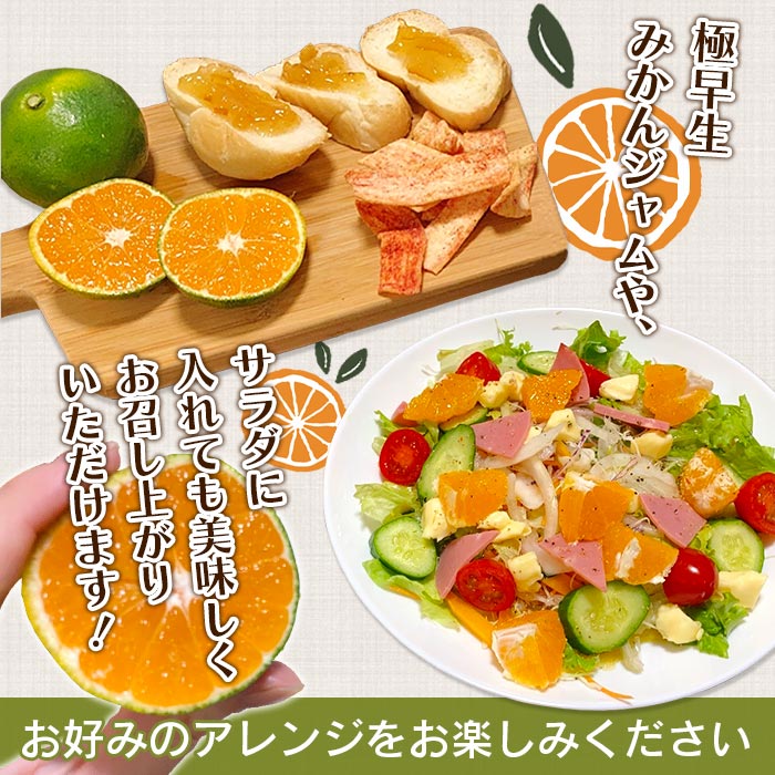 ＜天晴みかん 極早生 ご家庭用 約10kg＞ 柑橘 果物 フルーツ 期間限定 季節限定 特産品 温州みかん 家庭用 自宅用 ジャム サラダ 株式会社笑丸 愛媛県 西予市