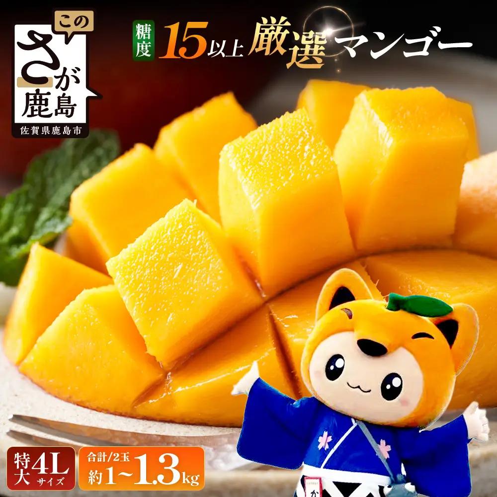  厳選！濃厚完熟マンゴー 4Lサイズ（糖度15度以上）【2026年5月中旬頃から6月初旬発送】 D-125