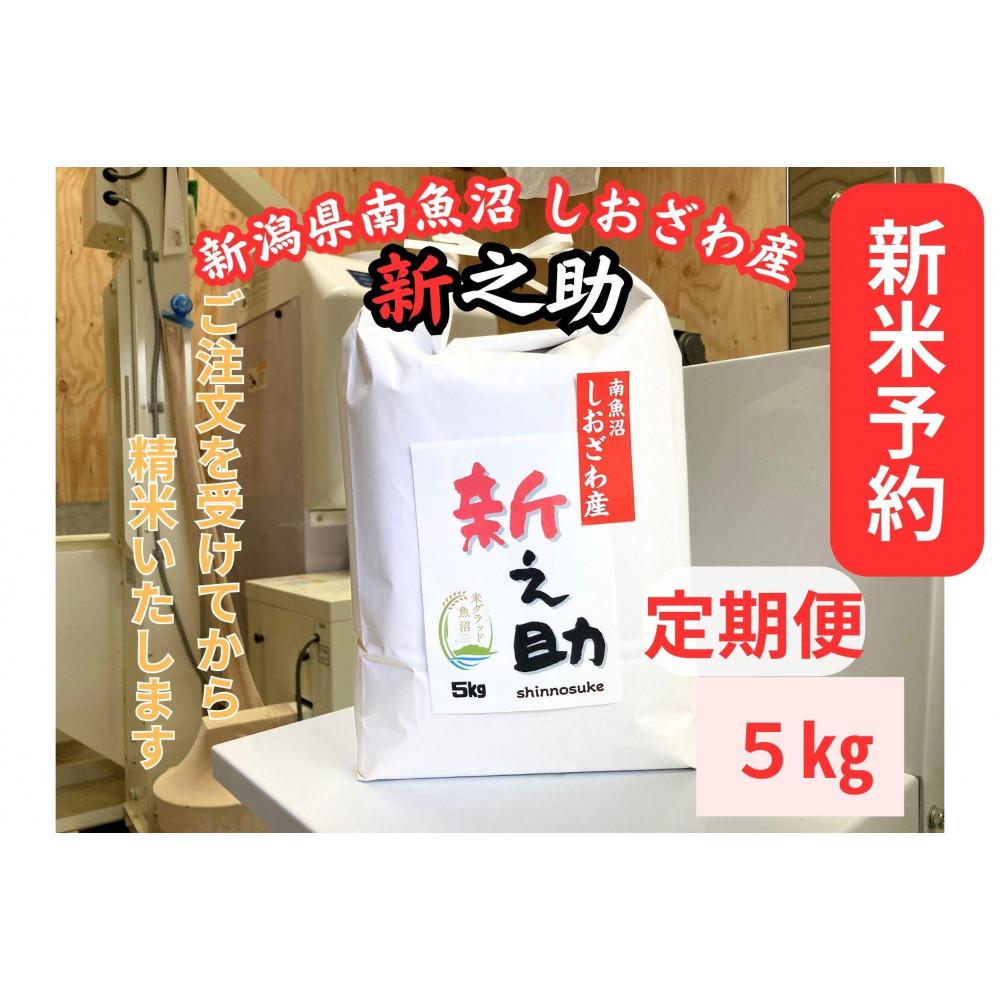 【ふるさと納税】【令和8年産・新米予約・定期便】新潟県南魚沼産　新之助　5kg×12か月　大粒でツヤがあるこれまでにないお米【2026年10月中旬より1ヶ月以内に順次発送予定】 | お米 こめ 白米 食品 人気 おすすめ 送料無料