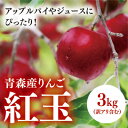 【ふるさと納税】【青森産りんご】紅玉　約3kg(訳アリ含む)【配送不可地域：離島・沖縄県】【1357285】