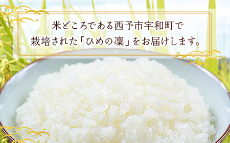 ＜愛媛県推進米 ひめの凜 約10kg＞ 10kg お米 コメ こめ 白米 精米 ご飯 ライス 穀物 ひめのりん ヒメノリン ヒメノ凜 ブランド米 大粒 ツヤツヤ 特産品 愛媛県産 西予市産 宇和町産 