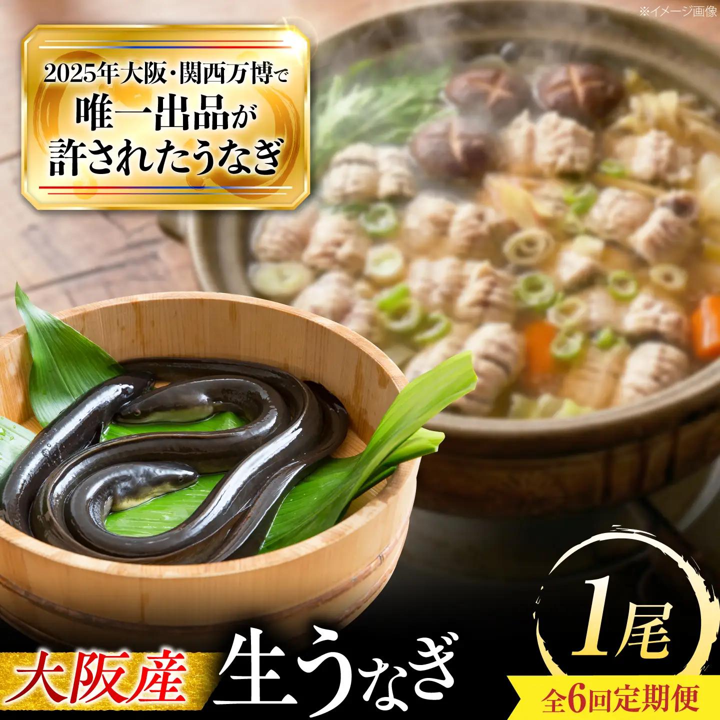 【6回定期便】 鰻 美陵鰻の生鰻 1尾 BLAL061
