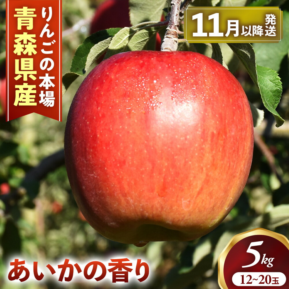 【2023 先行予約】 青森りんご あいかの香り 12～18玉 約5kg | 11月中旬以降発送予定 りんご 林檎 フルーツ 果物 果実 青森 青森県 青森県産 三戸 三戸町 高級 贈答 ギフト プレゼント 産地直送 農家直送 ふるさと納税 ふるさと 送料無料