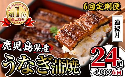 i1084-A ＜定期便・計6回(連続月)＞鹿児島県産うなぎ蒲焼4尾セット＜(約140g×4・計約560g)×全6回＞ うなぎ 鰻 ウナギ 4尾 蒲焼き 国産 鹿児島県産 焼きたて 生産量日本一 真空