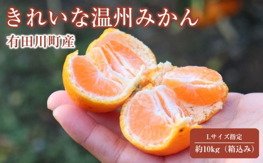 
                  12/25までにご入金確認分は年内発送確定！きれいな温州みかん 寄贈用にお勧め 箱込み 10kg (Lサイズ指定)
                