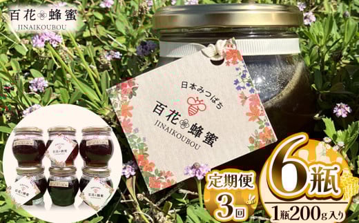 【定期便3回】日本ミツバチの百花蜂蜜 6瓶 (200g入) | 定期便3回 ハチミツ はちみつ ミツバチ 純度100％国産 無添加 栃木県 下野市
