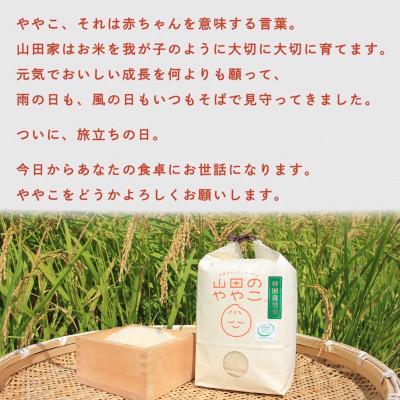 ふるさと納税 河内町 令和6年産『山田のややこ』特別栽培米コシヒカリ(精米)5kg |  | 01