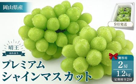 2025年予約受付中  プレミアム　シャインマスカット　晴王 2房約1.2kg　2回　定期便　9月・10月に1回ずつお届け【シャインマスカット マスカット ぶどう 葡萄 岡山県産 赤秀品  種無し 皮ごと食べる みずみずしい 9月～10月お届け フレッシュ　晴れの国おかやま 果物大国　贈答品 彩美菜果 岡山県 岡山市 おすすめ 人気 】