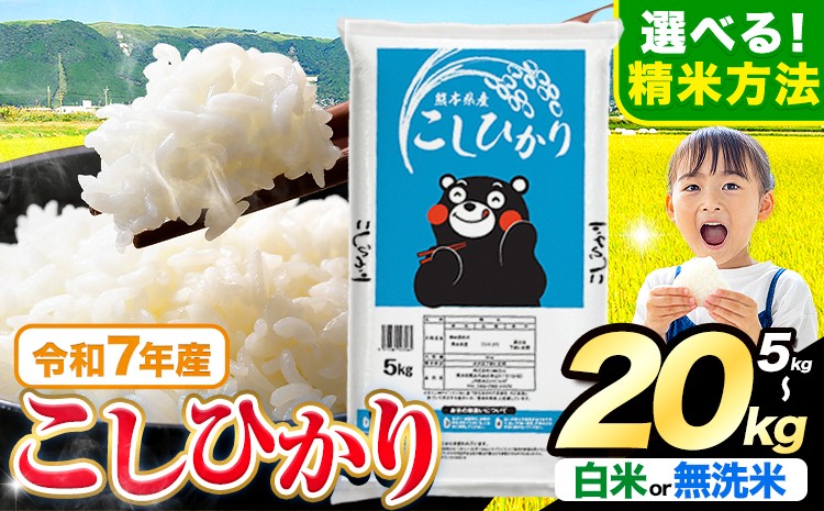 
                  令和7年産  無洗米 も選べる こしひかり 5kg 10kg 20kg 定期便 も選べる《7-14日以内に出荷予定(土日祝を除く)》熊本県産 ふるさと納税 無洗米 白米 精米 米 こめ ふるさとのうぜい コシヒカリ コメ お米 おこめ
                