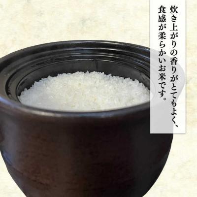 ふるさと納税 糸島市 伊都の米 5kg  糸島市/米屋納富 [ARL001] 白米 お米 |  | 01