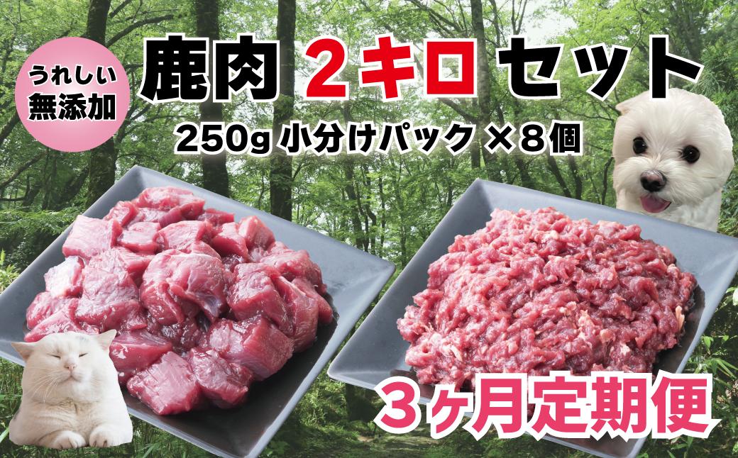 
【3回定期便】 森のジビエ for PET 鹿肉 2kg ペットフード 犬 猫 A-JK-B01A
