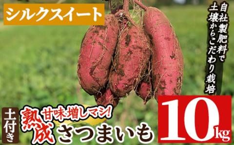 a845-B 鹿児島県産さつまいもシルクスイート土付き10kg(生芋)【コウエイ環境】