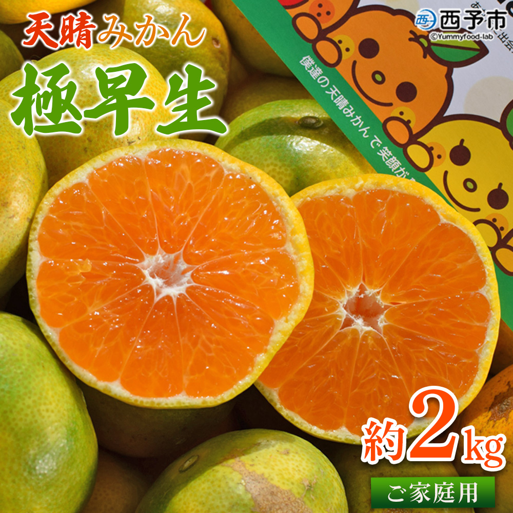 ＜天晴みかん 極早生 ご家庭用 約2kg＞ 柑橘 果物 フルーツ 期間限定 季節限定 特産品 温州みかん 家庭用 自宅用 ジャム サラダ 株式会社笑丸 愛媛県 西予市