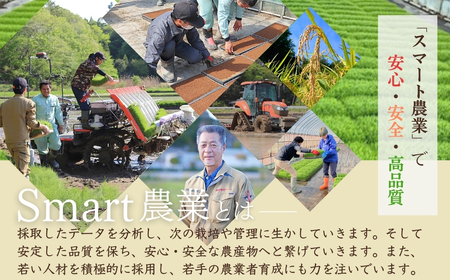 【先行予約】天のつぶ 新世代 白米 10kg | 令和7年産 福島県 南相馬 紅梅夢ファーム