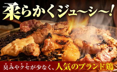 佐賀のお肉焼肉セット（牛肉・豚肉・鶏肉）【吉祥】 HCW005 焼肉 BBQ ブランド和牛