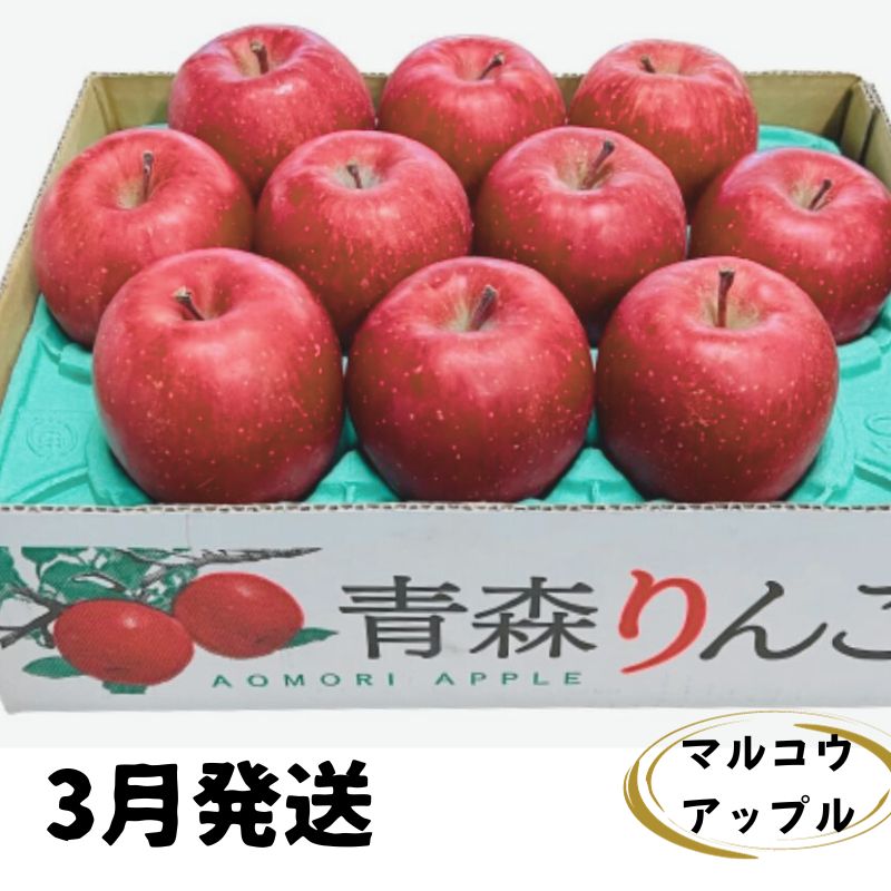 【ふるさと納税】【3月発送】訳あり 家庭用 濃厚サンふじ 約3kg 糖度13度以上【青森りんご・マルコウアップル】 リンゴ 林檎 フルーツ 果物 訳アリ 　お届け：2026年3月上旬～