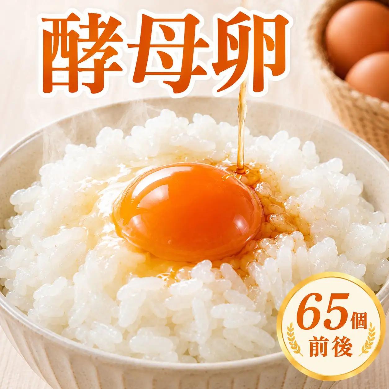 【酵母卵】卵  65個前後 卵 