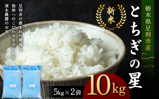 令和7年産 新米 栃木県足利市産とちぎの星10kg〈5kg×2袋〉 精米 白米 米 こめ ごはん 食品 栃木県 足利市 F7Z-1816