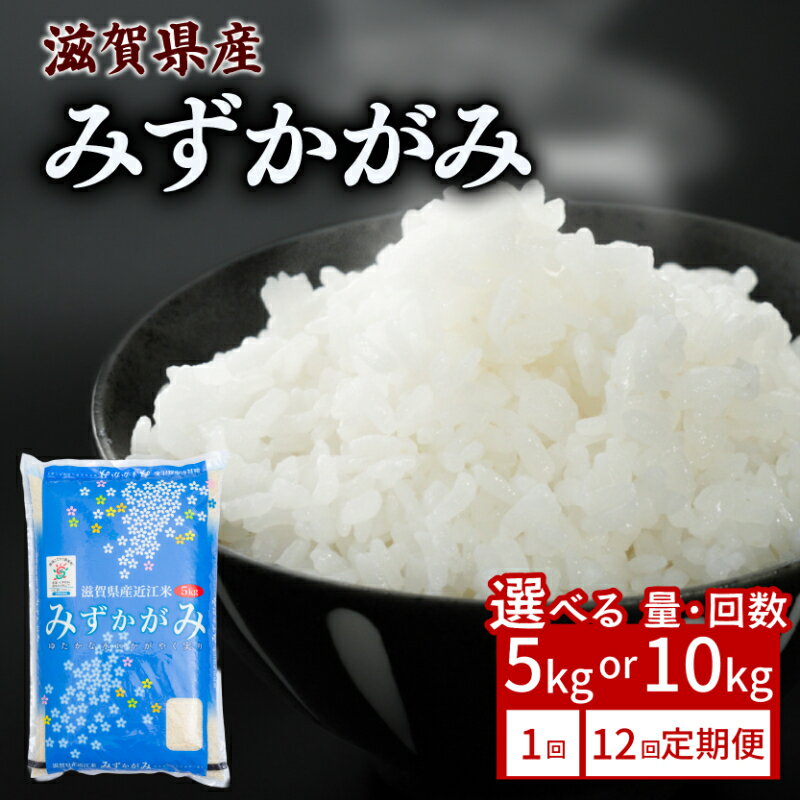 【ふるさと納税】 みずかがみ 5kg 10kg 単品 / 12ヶ月定期便 令和7年産 米 精米 こめ コメ お米 ご飯 5キロ 10キロ 令和7年 12回定期便 定期便 ふるさと納税米 ふるさと納税米定期便 滋賀 彦根