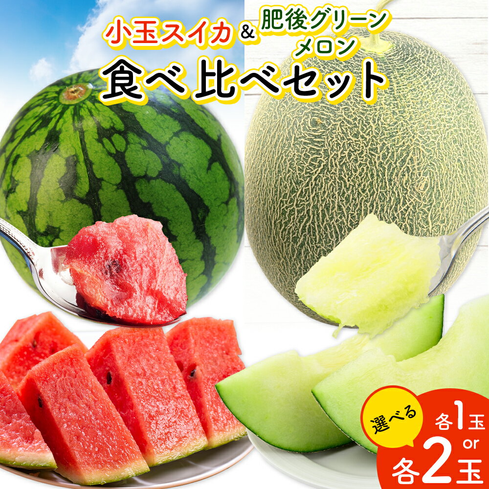 【ふるさと納税】小玉スイカ & 肥後グリーンメロン 食べ比べ 選べる 各1玉(計2玉 約3.5kg) または 各2玉(計4玉 約7kg) 日本フルーツ株式会社 《5月中旬-7月末頃出荷》 熊本県 菊池市 西瓜 メロン 熊本県産