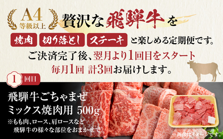 《定期便》飛騨牛 3回お届け 3ヶ月 ごちゃまぜ 焼肉 切り落とし 希少部位 カイノミ ステーキ 和牛 肉 霜降り 赤身 食べ比べ 50000円 5万円 [S345]