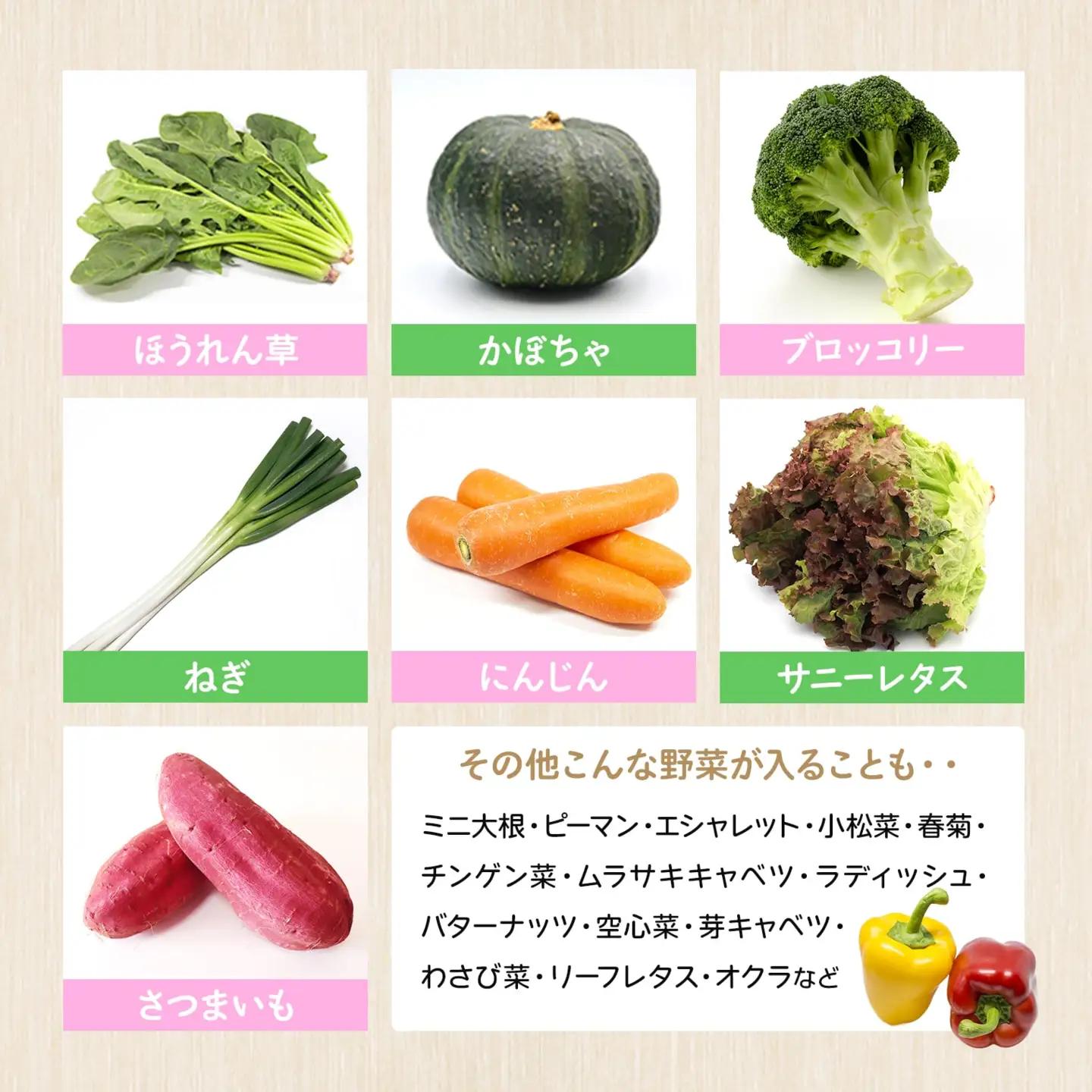 K1665 季節の野菜 「道の駅さかいオリジナル」駅長おすすめ野菜セット