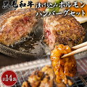 【ふるさと納税】黒毛和牛漬け込みホルモン・ハンバーグセット（計14袋） 絶品 ブランド牛 黒毛和種 有限会社トップルーフ《60日以内に出荷予定(土日祝除く)》