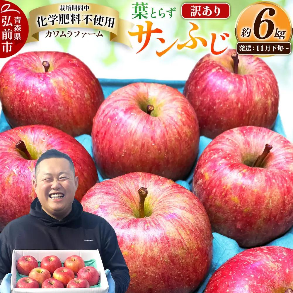 りんご 葉とらず サンふじ 訳あり 約6kg【11月下旬～発送】りんご