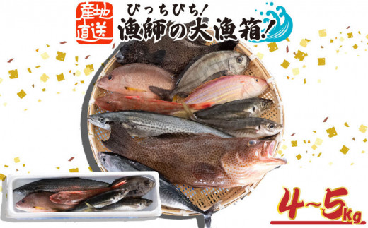 
魚 鮮魚 ボックス 4kg～5kg 旬 鮮度 抜群 おまかせ 詰め合わせ 海鮮 魚介 新鮮 高知県 須崎市 MT005
