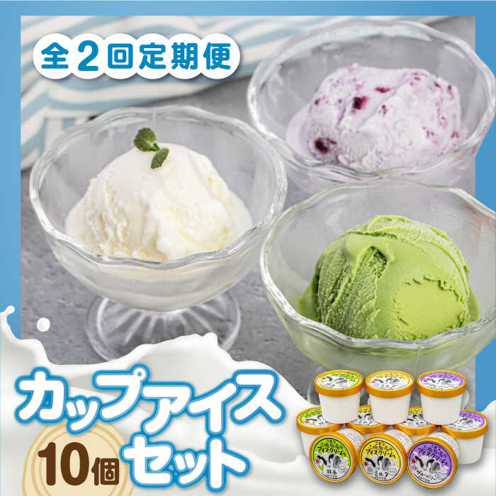 【ふるさと納税】【全2回定期便】 カップアイスセット 10個 《喜茂別町》【ニセコリゾート観光協会/ミルク工房】 アイス アイスクリーム ジェラート ミルク 抹茶 ブルーベリー 詰め合わせ ギフト 冷凍配送 北海道 定期便 定期 [AJAI055] 22000 22000円