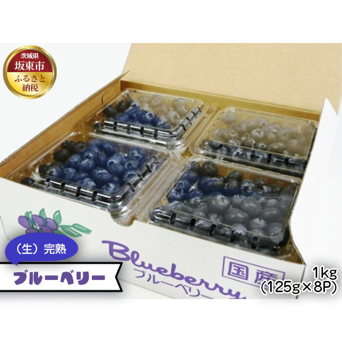 【ふるさと納税】茨城県産　坂東市（生）完熟ブルーベリー1kg（125g×8P）／ブルーベリー 大粒 完熟 健康フルーツ 送料無料 茨城県 No.538