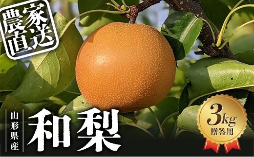 
                  【2027年先行予約】農家直送「和梨3kg」贈答用 FSY-2682
                