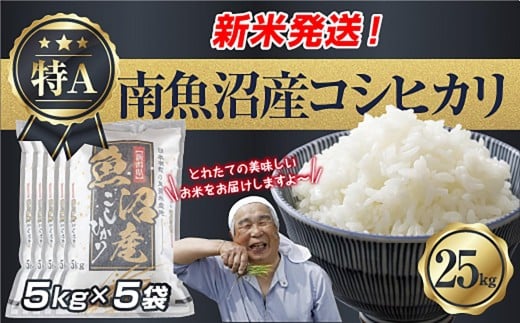 
            令和7年産 新潟県 南魚沼産 コシヒカリ お米 5kg×5袋 計 25kg 精米済み（お米の美味しい炊き方ガイド付き） お米 こめ 白米 こしひかり 食品 人気 おすすめ  魚沼 南魚沼 南魚沼市 新潟県産 新潟県 精米 産直 産地直送
          