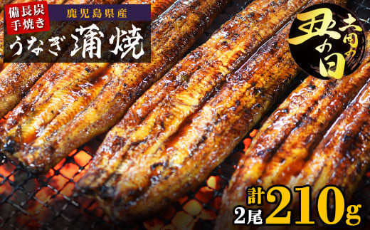 
            土用丑の日 鹿児島県大隅産 備長炭手焼うなぎ蒲焼2尾（210ｇ）
          