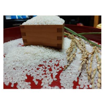 ふるさと納税 阿波市 1等米、食味値80点以上の【阿波ノ北方米コシヒカリ5kg】 |  | 03