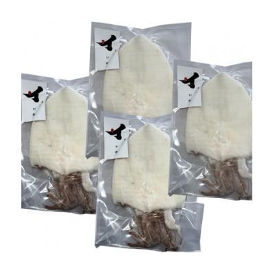 ふるさと納税 浜田市 山陰浜田極味の訳あり　シロイカ(ケンサキイカ)一夜干し　4枚 |  | 01