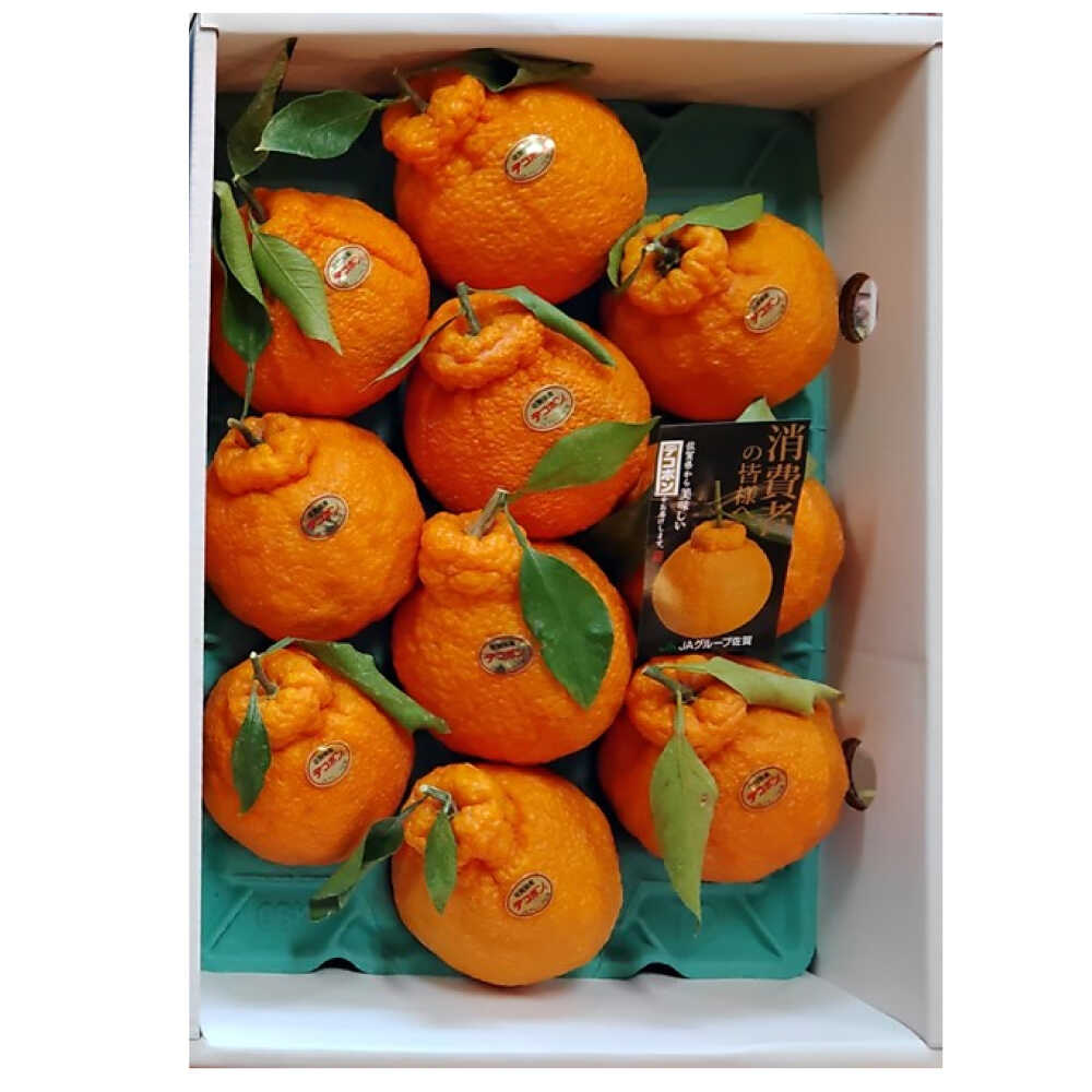 【ふるさと納税】【2026年発送分 先行予約】木なり完熟デコポン 3kg / 佐賀県 / 一般社団法人龍乃 [41ANAC011]