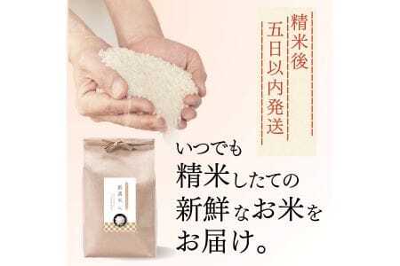 【定期便】 2kg 【12ヵ月連続お届け】 計24kg 広島県産 お米マイスター厳選米 【出荷直前精米】